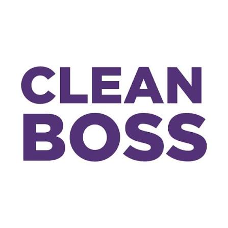 CleanBoss Pro