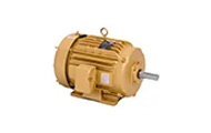 Motors & Power Transmission